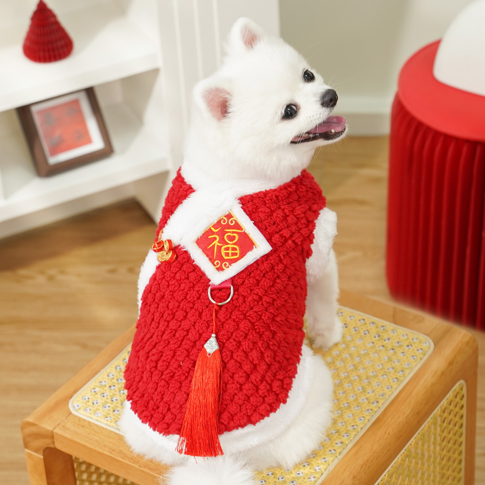 Winter coat New Chinese New Year style Guofeng character embroidery plus cashmere warm pet dog cat clothes teddy plush Tang suit