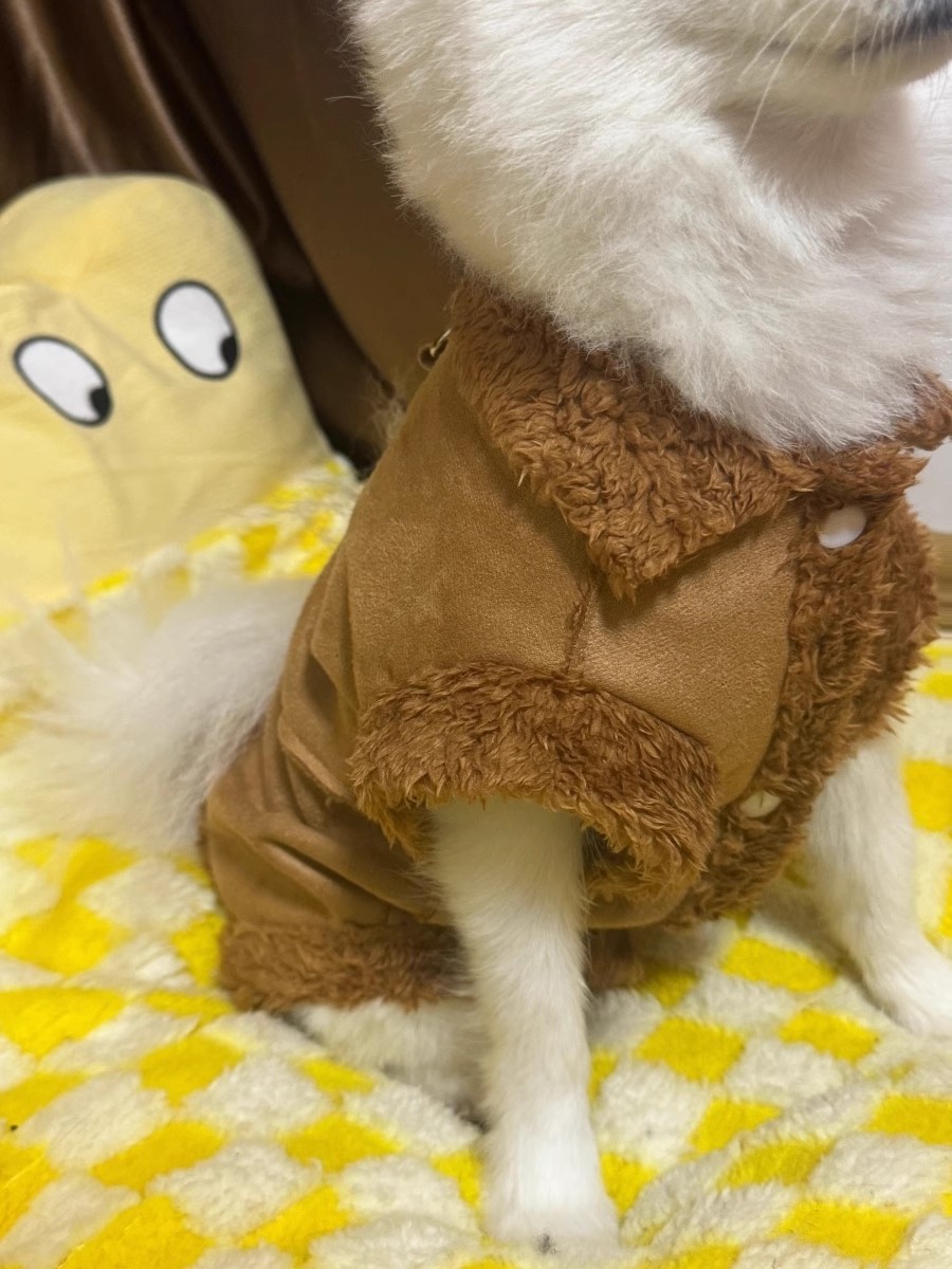 Autumn/Winter Dog small dog warm everything suede towed vest cat jacket Teddy pet dog clothes