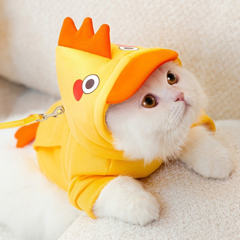 New autumn and winter Korean version of dog cute cartoon small and medium-sized dog bear hoodie cat Teddy pet dog clothes