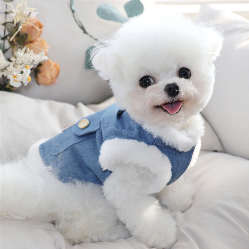 Puppy dog clothing Winter teddy Bichon Pomeranian small dog pet vest Autumn and winter cotton-padded coat