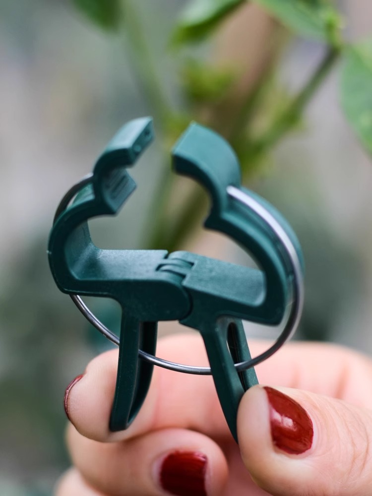 Grafting Clips, Greenhouse Clamp, Stand Plastic Plant Clip, Fastener Bracket, Plant Grafting, Plant Support Structures