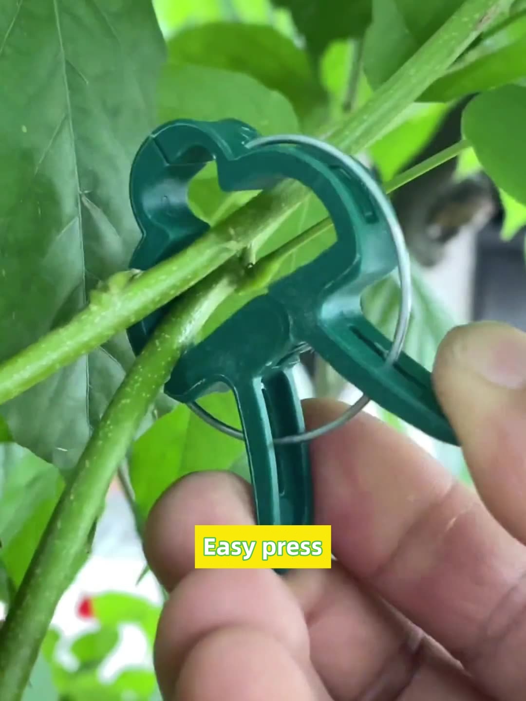 Grafting Clips, Greenhouse Clamp, Stand Plastic Plant Clip, Fastener Bracket, Plant Grafting, Plant Support Structures