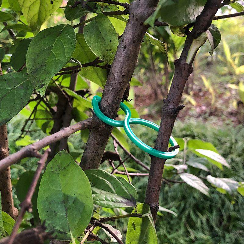 20pcs/50pcs/100pcs Multi-Purpose Gardening Zigzag Buckle For Fixing Vines Plants Stems And Supports Garden Tools Zigzag Buckle