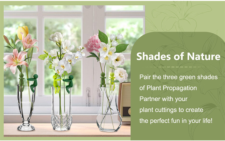 Plant Propagation Buddy,Plant support miniature plant cultivation indoor decoration,Plant decoration companion supports the little man