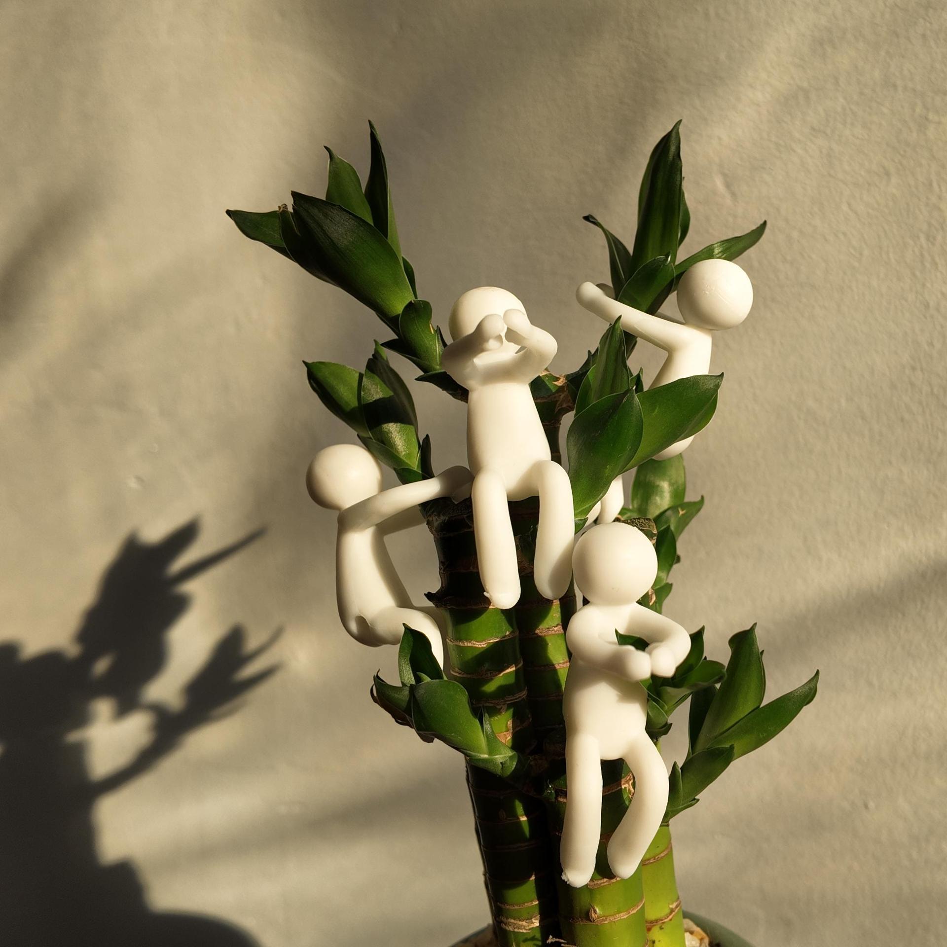 Plant Propagation Buddy,Plant support miniature plant cultivation indoor decoration,Plant decoration companion supports the little man