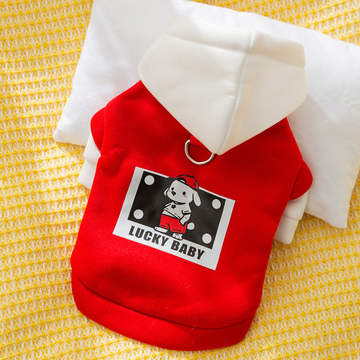 New autumn and winter Korean version of dog cute cartoon small and medium-sized dog bear hoodie cat Teddy pet dog clothes