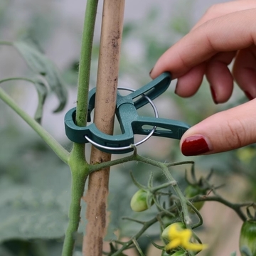 Grafting Clips, Greenhouse Clamp, Stand Plastic Plant Clip, Fastener Bracket, Plant Grafting, Plant Support Structures