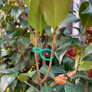20pcs/50pcs/100pcs Multi-Purpose Gardening Zigzag Buckle For Fixing Vines Plants Stems And Supports Garden Tools Zigzag Buckle
