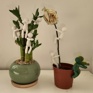 Plant Propagation Buddy,Plant support miniature plant cultivation indoor decoration,Plant decoration companion supports the little man